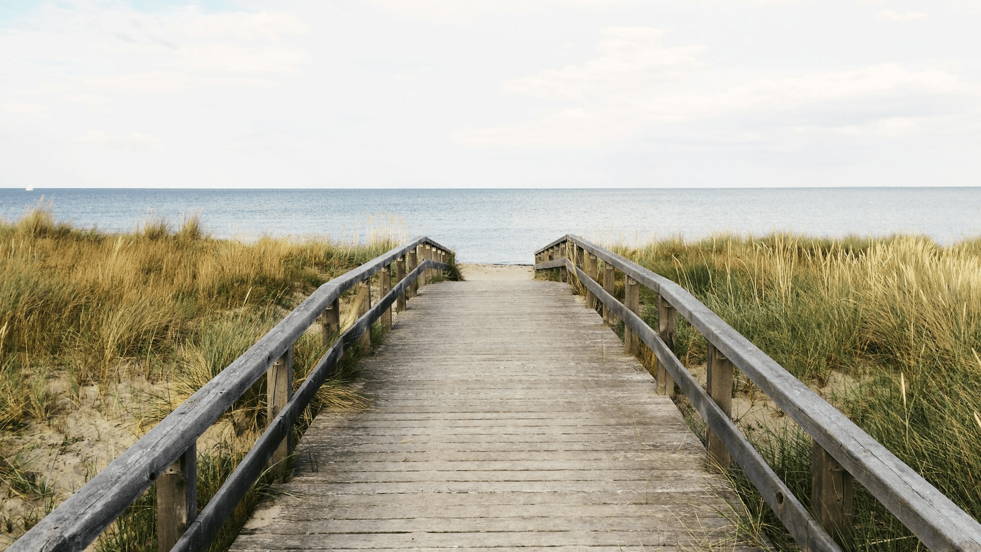 OCMD Summer Seasonal Rentals
