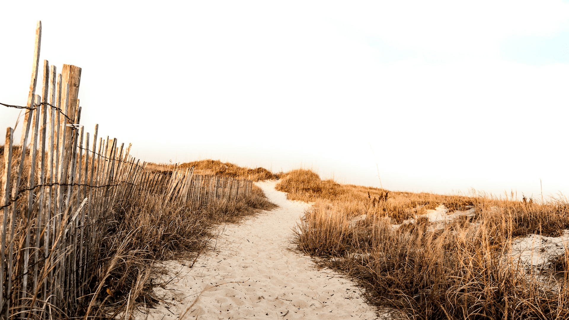 Sandy Path in Ocean City MD