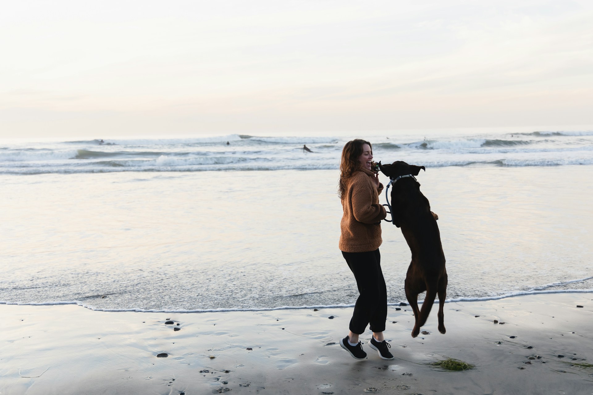 Pet Friendly Rentals in Ocean City MD